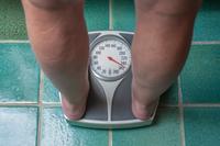 Weigh In Scales